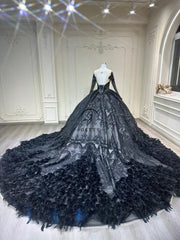 Ostty Midnight Black Feather Quinceañera Dress with Long Sleeves and Gothic Train OST-QN077-25 (Wholesale)