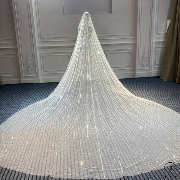 http://www.ostty.com/cdn/shop/products/high-quality-wedding-veil-with-comb-cathedral-bridal-long-sparkle-luxury-veils-real-photo-ostty-776_grande.jpg?v=1641775591