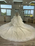 Ostty Luxury White Short Sleeves Wedding Dress OS702 - Quinceanera Dress $1,299