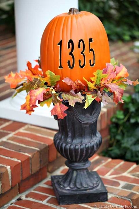 Pumpkin