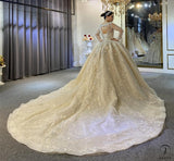 Luxury Embroidered Sleeveless Wedding Dresses OS3964 - Wedding & Bridal Party Dresses $1,699.99