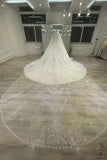 OSTTY EXCLUSIVE 1226 - Wedding & Bridal Party Dresses $899.99
