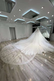 HN EXCLUSIVE L0006 - Custom Size - Wedding & Bridal Party Dresses $1,399