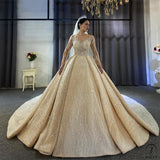 Champagne Ball Gown Tulle Appliques Short Sleeve Wedding Dress With Train OST0520 - OS11644 $2,299.99
