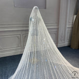 High Quality Wedding Veil With Comb Cathedral Bridal Veil Long Sparkle Veil Luxury Veil Bridal Veils Real Photo - $189.90