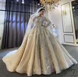 Luxury Embroidered Sleeveless Wedding Dresses OS3964 - Wedding & Bridal Party Dresses $1,699.99