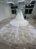 White Long Sleeve V neck Long Train Wedding Dress OSL202202 - Wedding & Bridal Party Dresses $899.99